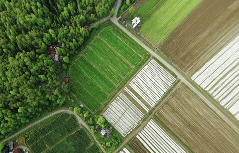 ChatGPT said: An aerial view of farmland divided into green, brown, and white-striped fields bordered by a forest.