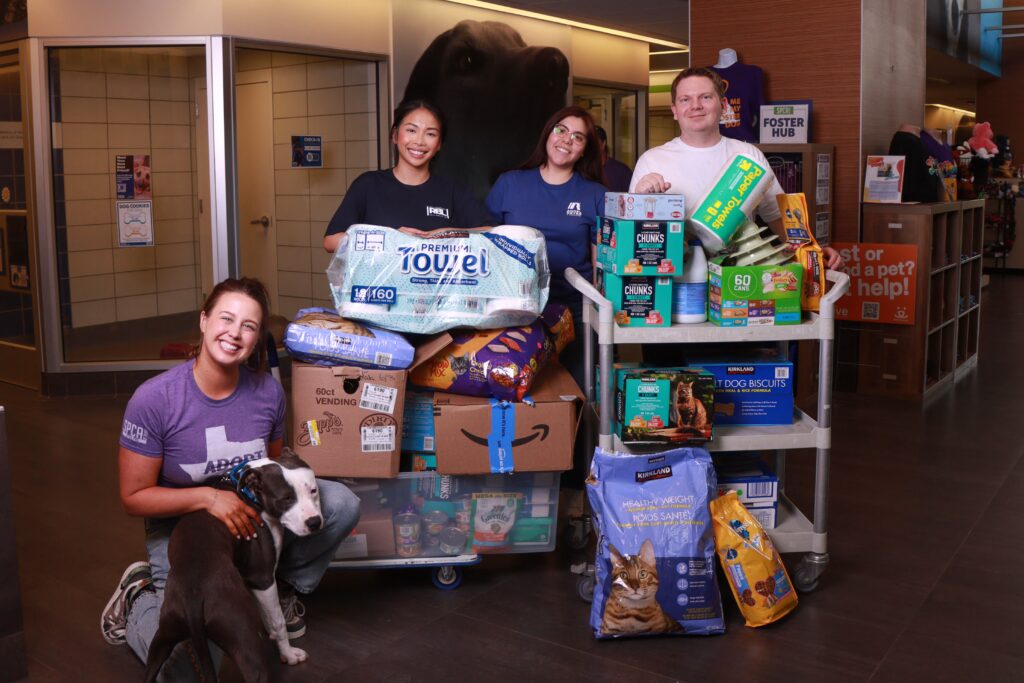 Angel Reyes & Associates Raises $4,800 for SPCA of Texas Through Community Pet Supply Drive